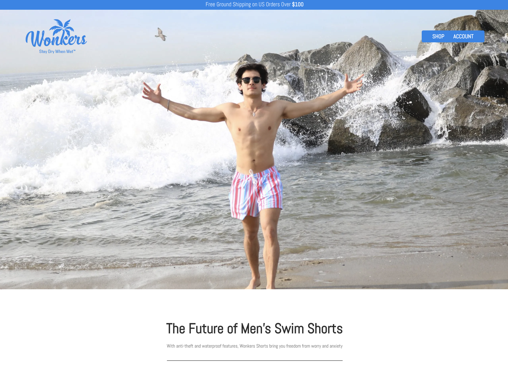 wonkersshorts.com website screenshot